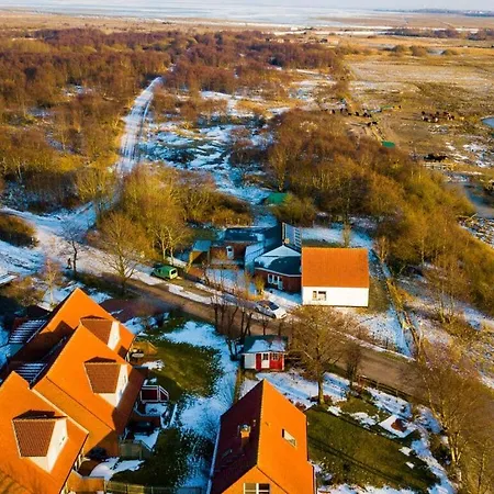 Feriehus Freedom 1 Borkum